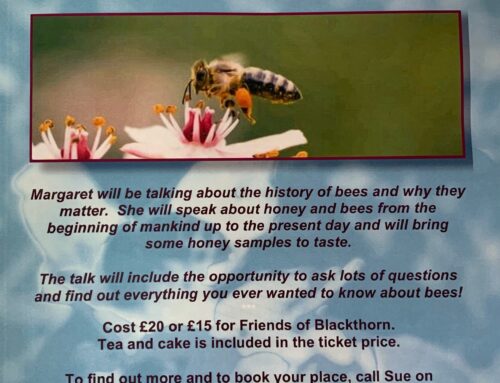 Margaret Ginman’s ‘TO BEE OR NOT TO BEE’
