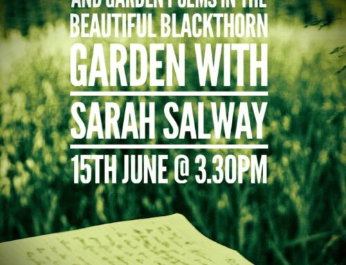 An afternoon with Sarah Salway, writer and poet